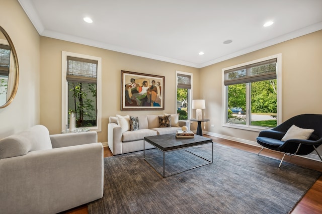 living room with ornamental molding and dark hardwood / wood-style floors