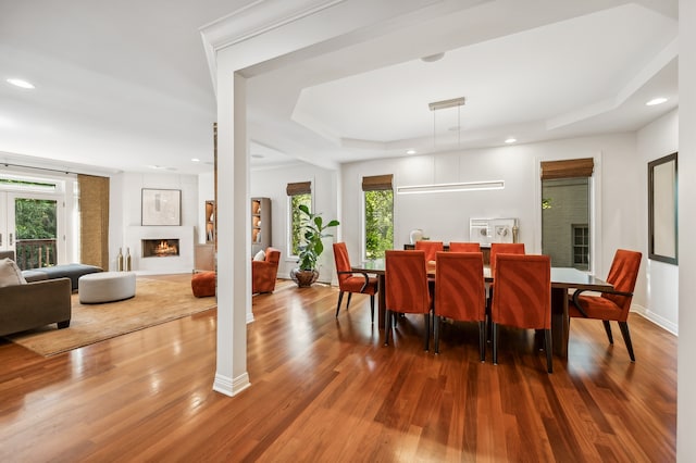 dining room with a healthy amount of sunlight, hardwood / wood-style floors, a raised ceiling, and a fireplace