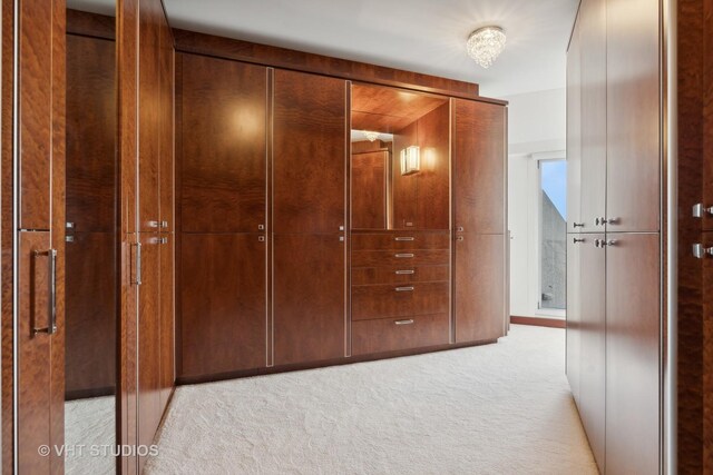 bathroom featuring vanity, toilet, and a shower with shower door