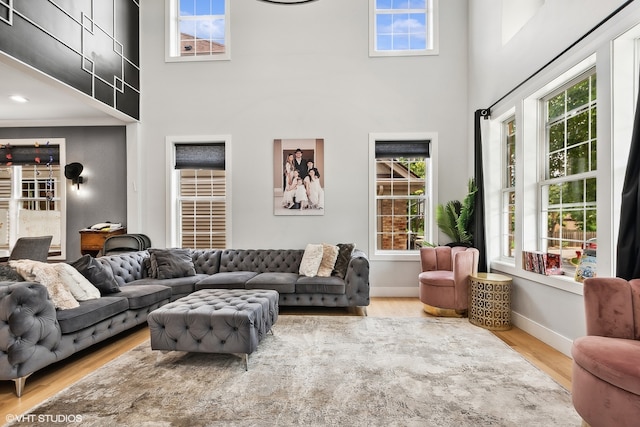 living room featuring ornamental molding, a towering ceiling, and wood-type flooring