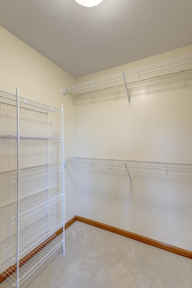 walk in closet with carpet floors