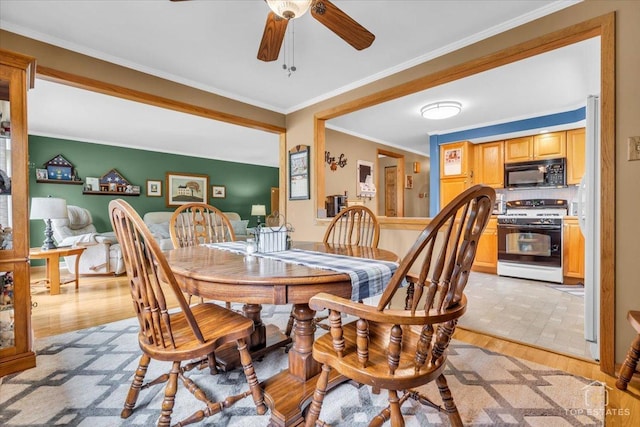 dining space with a ceiling fan, crown molding, and light wood-style flooring