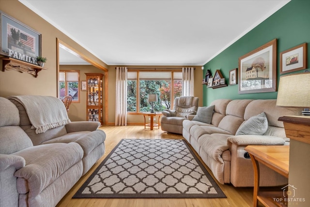 living room with crown molding and light wood-type flooring