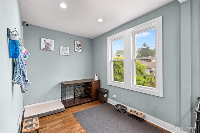 miscellaneous room with light hardwood / wood-style floors and a healthy amount of sunlight