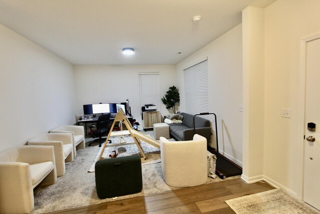 living room featuring wood-type flooring