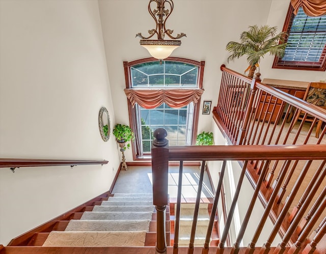 stairway with a high ceiling and carpet flooring