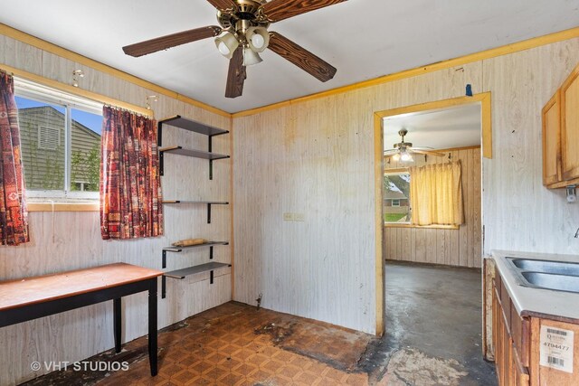 interior space featuring ceiling fan, wood walls, plenty of natural light, and a sink