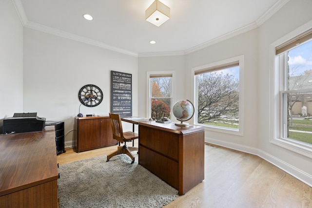 office with a wealth of natural light, crown molding, and light wood-type flooring