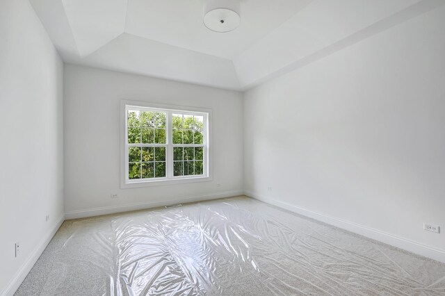 spare room featuring light carpet and a raised ceiling