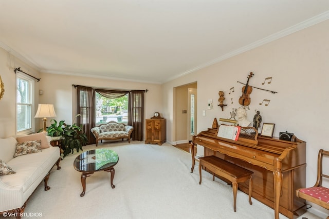 interior space featuring carpet flooring and ornamental molding