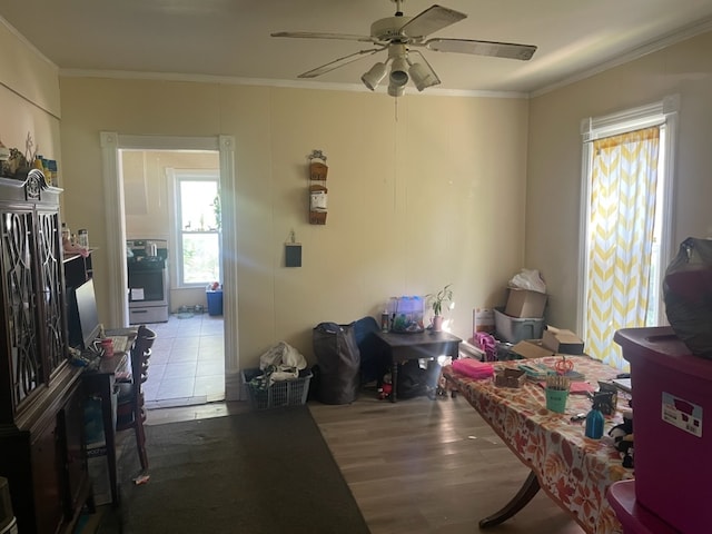 interior space with crown molding, ceiling fan, and tile patterned flooring