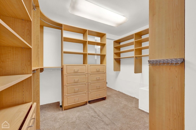 walk in closet featuring carpet