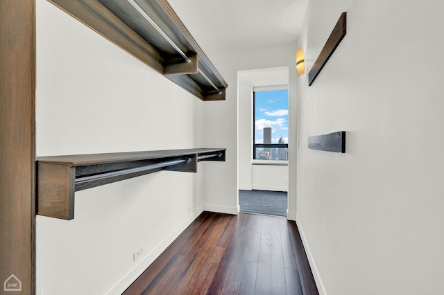 walk in closet featuring dark hardwood / wood-style floors