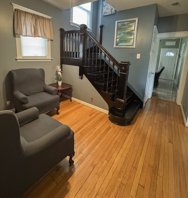 living room featuring wood-type flooring