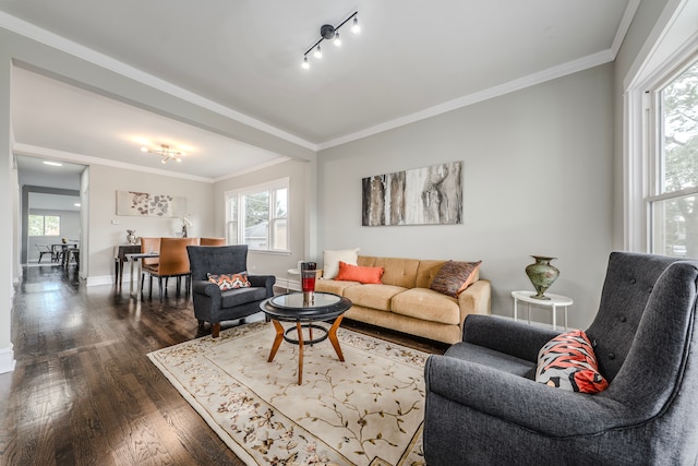 living room featuring crown molding, track lighting, and dark hardwood / wood-style floors