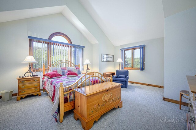 bedroom with lofted ceiling, multiple windows, and carpet