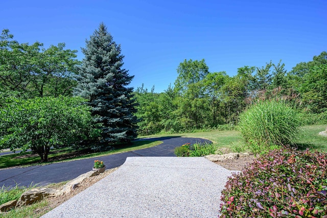 view of community featuring driveway