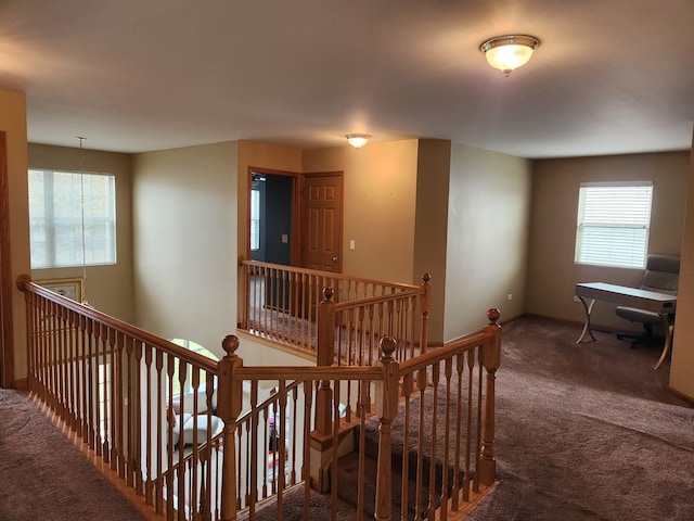 staircase featuring carpet flooring