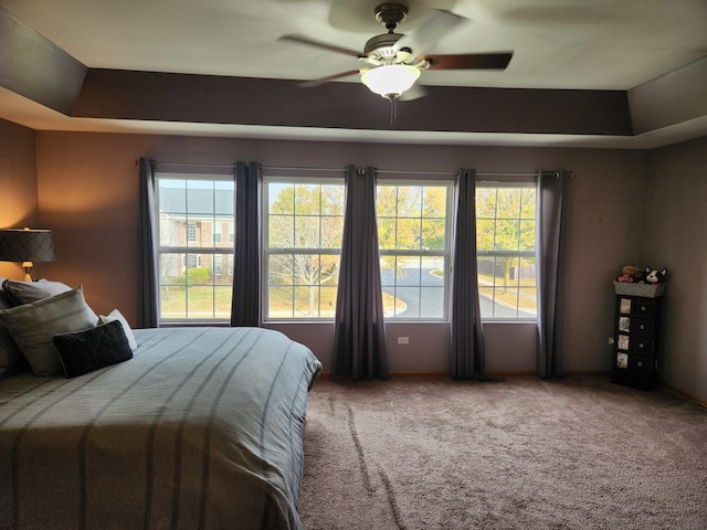 bedroom with carpet floors, ceiling fan, and a tray ceiling