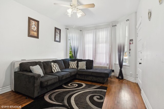 living room featuring dark wood-type flooring, radiator, and ceiling fan