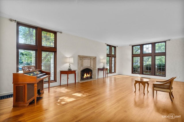 living room featuring light hardwood / wood-style flooring, crown molding, and a high end fireplace