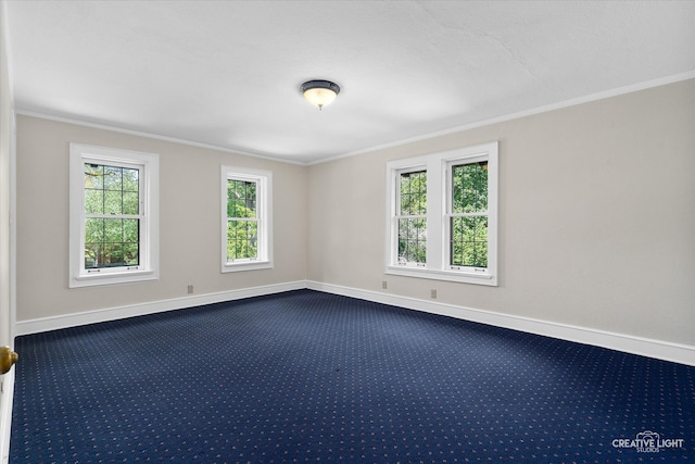 carpeted spare room featuring ornamental molding