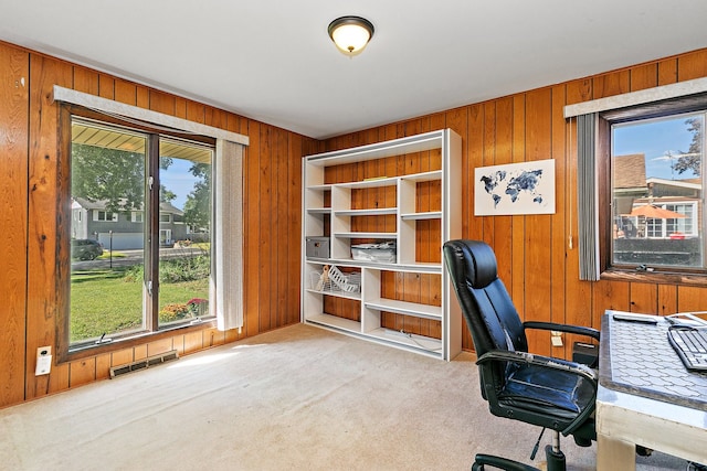 office featuring wooden walls and carpet