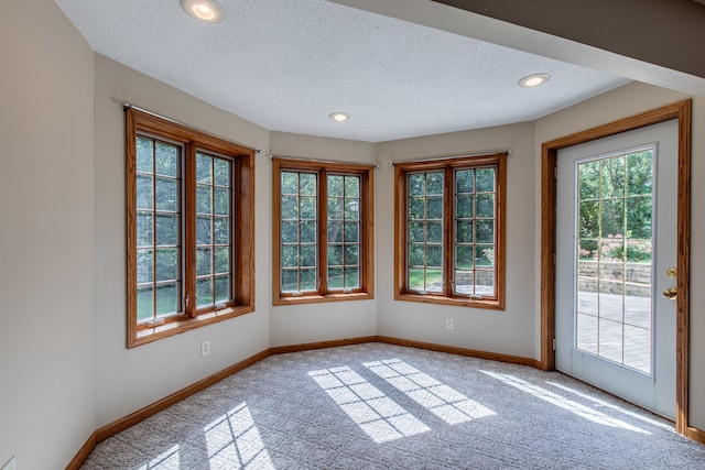 carpeted empty room with a textured ceiling and a healthy amount of sunlight