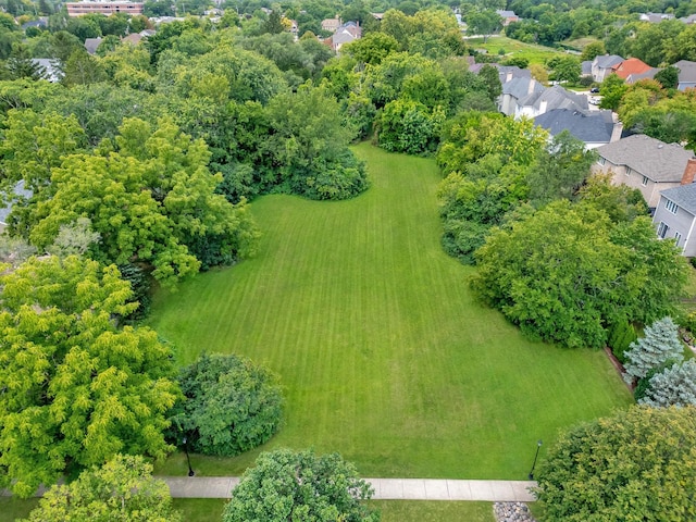 5725 S Wilmette Ave, Westmont, IL 60559 - photo 6