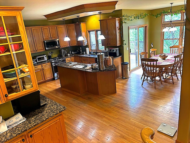 kitchen featuring light hardwood / wood-style flooring, a center island, decorative light fixtures, and stainless steel appliances