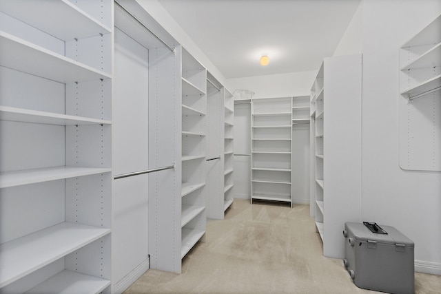 spacious closet with light colored carpet