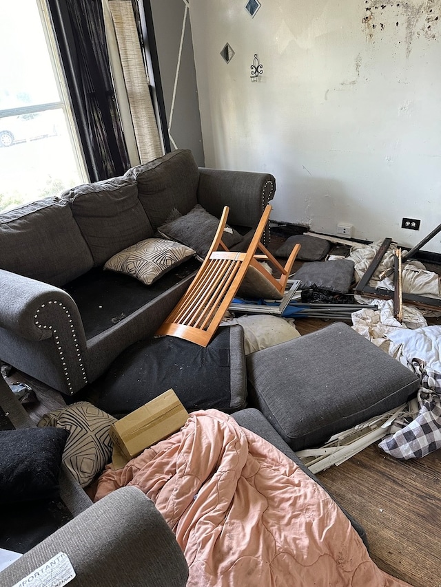 living room featuring hardwood / wood-style flooring