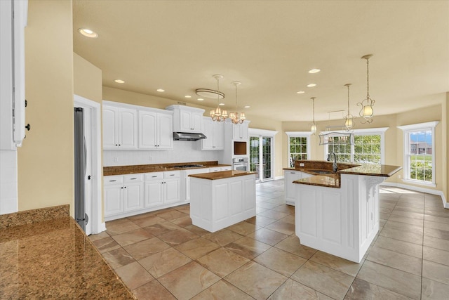 kitchen with recessed lighting, a sink, under cabinet range hood, a center island with sink, and appliances with stainless steel finishes