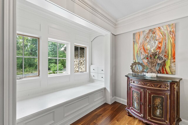 interior space featuring crown molding, dark hardwood / wood-style flooring, and a wealth of natural light