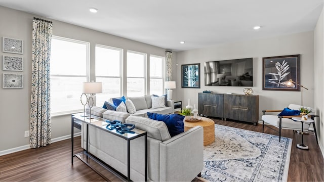 living room with dark hardwood / wood-style flooring