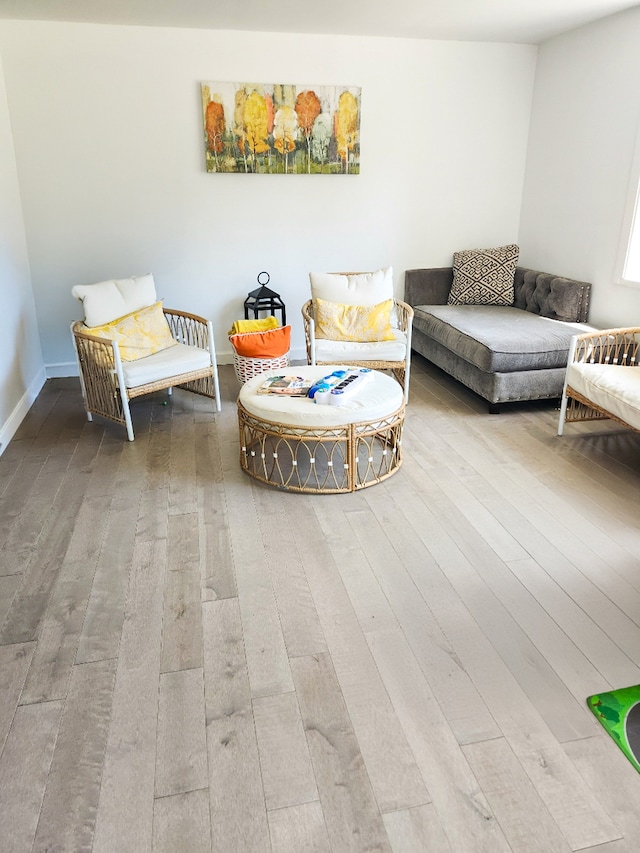 living room featuring hardwood / wood-style flooring