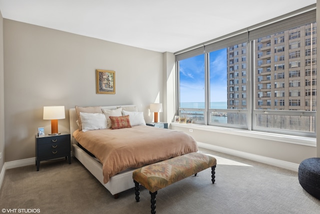 carpeted bedroom with a water view