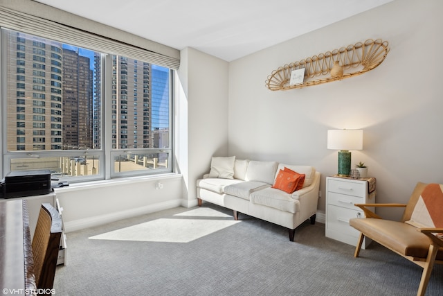 view of carpeted living room