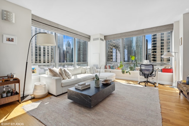 living room featuring light hardwood / wood-style flooring