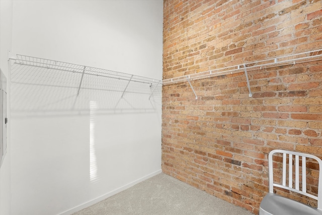 spacious closet featuring carpet floors