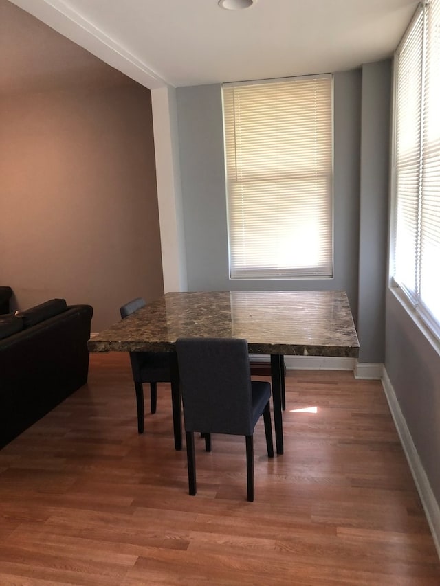 dining room featuring hardwood / wood-style floors