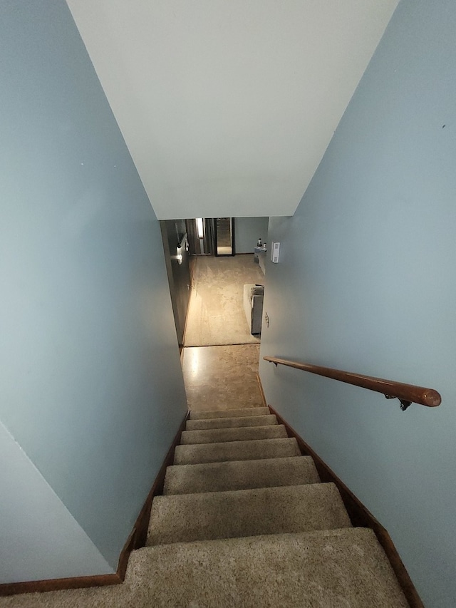 staircase featuring carpet flooring