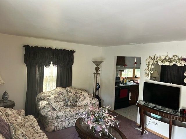 view of tiled living room