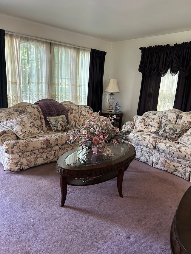 living room featuring a healthy amount of sunlight and carpet flooring