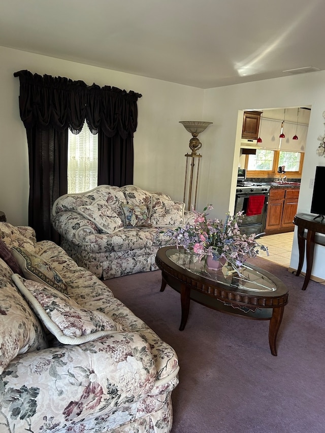 living room with sink and carpet flooring