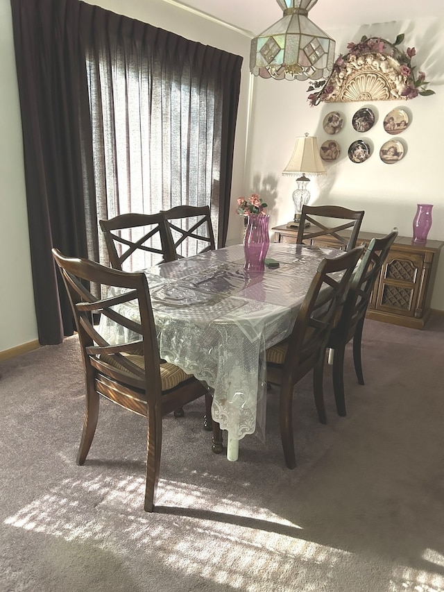 dining space with carpet flooring