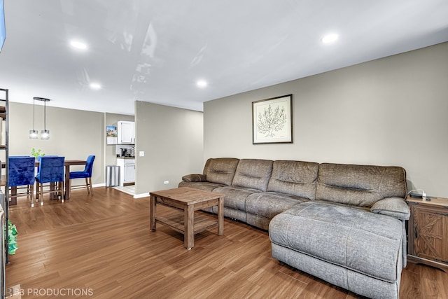 living room featuring wood-type flooring