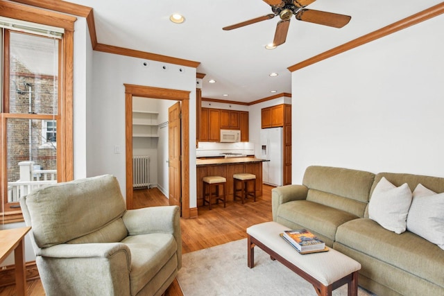 living room featuring radiator, ceiling fan, light hardwood / wood-style flooring, and ornamental molding