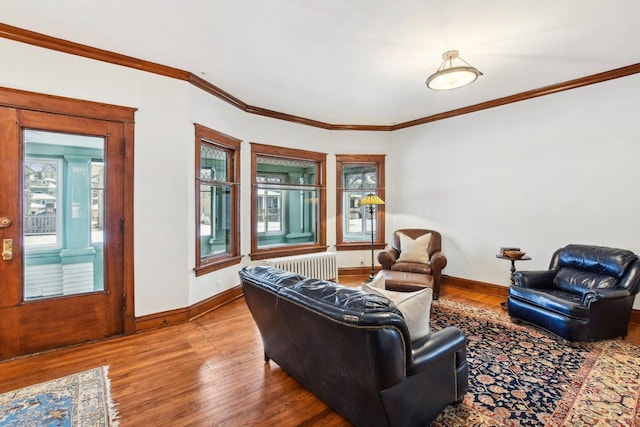 living room featuring a wealth of natural light, hardwood / wood-style floors, and radiator heating unit