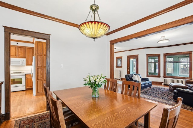 dining space featuring light wood-type flooring, radiator heating unit, and crown molding